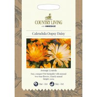 Country Living Calendula Oopsy Daisy Seeds
Country Living Calendula Oopsy Daisy Seeds