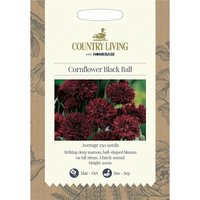 Country Living Cornflower Black Ball Seeds
Country Living Cornflower Black Ball Seeds