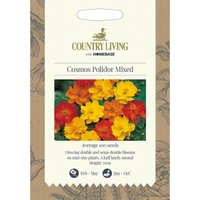 Country Living Cosmos Polidor Mixed Seeds
Country Living Cosmos Polidor Mixed Seeds