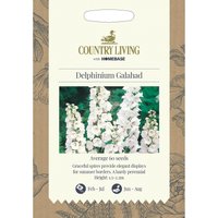 Country Living Delphinium Galahad Seeds
Country Living Delphinium Galahad Seeds