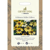 Country Living Echinacea Mellow Yellows Seeds
Country Living Echinacea Mellow Yellows Seeds
