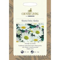 Country Living Shasta Daisy Alaska Seeds
Country Living Shasta Daisy Alaska Seeds