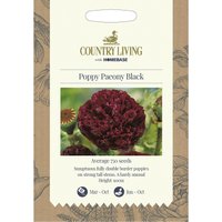 Country Living Poppy Paeony Black Seeds
Country Living Poppy Paeony Black Seeds