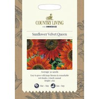 Country Living Sunflower Velvet Queen Seeds
Country Living Sunflower Velvet Queen Seeds