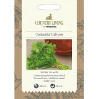 Country Living Coriander Calypso Seeds
Country Living Coriander Calypso Seeds