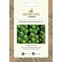Country Living Brussels Sprout Brodie F1 Seeds
Country Living Brussels Sprout Brodie F1 Seeds