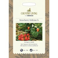 Country Living Strawberry Delician F1 Seeds
Country Living Strawberry Delician F1 Seeds