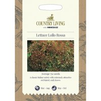Country Living Lettuce Lollo Rossa Seeds
Country Living Lettuce Lollo Rossa Seeds