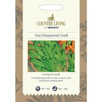 Country Living Pea Mangetout Norli Seeds
Country Living Pea Mangetout Norli Seeds