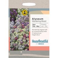 House Beautiful Alyssum Wandering Mixed Seeds
House Beautiful Alyssum Wandering Mixed Seeds