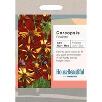 House Beautiful Coreopsis Roulette Seeds