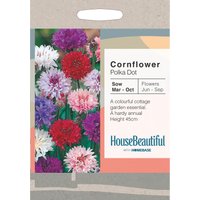 House Beautiful Cornflower Polka Dot Seeds
House Beautiful Cornflower Polka Dot Seeds
