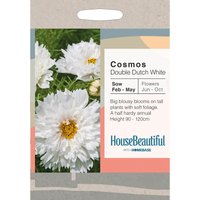 House Beautiful Cosmos Double Dutch White Seeds
House Beautiful Cosmos Double Dutch White Seeds
