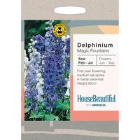 House Beautiful Delphinium Magic Fountains The Blues Seeds
House Beautiful Delphinium Magic Fountains The Blues Seeds