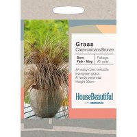 House Beautiful Grass Carex Comans Bronze Seeds
House Beautiful Grass Carex Comans Bronze Seeds