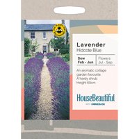 House Beautiful Lavender Hidcote Blue Seeds
House Beautiful Lavender Hidcote Blue Seeds
