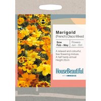 House Beautiful Marigold French Disco Mixed Seeds
House Beautiful Marigold French Disco Mixed Seeds