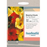 House Beautiful Nasturtium Tip Top Mixed Seeds
House Beautiful Nasturtium Tip Top Mixed Seeds
