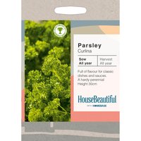 House Beautiful Parsley Curlina Seeds
House Beautiful Parsley Curlina Seeds