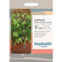 House Beautiful Mixed Lettuce Leaves Seeds
House Beautiful Mixed Lettuce Leaves Seeds