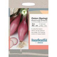 House Beautiful Onion Spring Rossa lunga di Firenze Seeds
House Beautiful Onion Spring Rossa lunga di Firenze Seeds