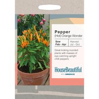 House Beautiful Pepper Hot Orange Wonder Seeds
House Beautiful Pepper Hot Orange Wonder Seeds