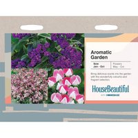 House Beautiful Aromatic Garden Seeds
House Beautiful Aromatic Garden Seeds