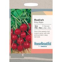 House Beautiful Radish Prinz Rotin Seeds
House Beautiful Radish Prinz Rotin Seeds