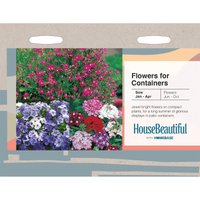 House Beautiful Flowers For Containers Seeds
House Beautiful Flowers For Containers Seeds