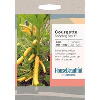 House Beautiful Courgette Shooting Star F1 Seeds
House Beautiful Courgette Shooting Star F1 Seeds