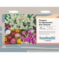 House Beautiful Flowers For Movement and Texture Seeds
House Beautiful Flowers For Movement and Texture Seeds