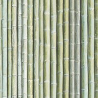 Organic Textures Bamboo Green Wallpaper
Organic Textures Bamboo Green Wallpaper