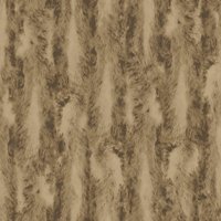 Organic Textures Chinchilla Fur Brown Wallpaper
Organic Textures Chinchilla Fur Brown Wallpaper