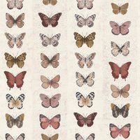 Organic Textures Jewel Butterflies Beige Wallpaper
Organic Textures Jewel Butterflies Beige Wallpaper