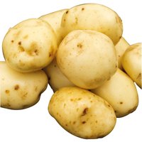 Seed Potatoes Charlotte
Seed Potatoes Charlotte