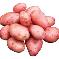 Seed Potatoes Desiree
Seed Potatoes Desiree