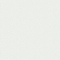 Laura Ashley Blyth Paintable White Wallpaper
Laura Ashley Blyth Paintable White Wallpaper