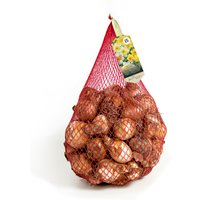 2,5 KG of UK Daffodils Mixed
2,5 KG of UK Daffodils Mixed