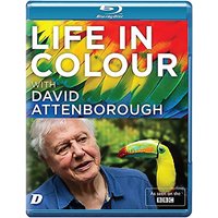 Life in Colour with David Attenborough
Life in Colour with David Attenborough