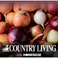 Grow your own Onion Mix
Grow your own Onion Mix