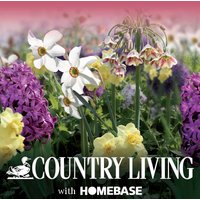 Scented Flowerbulb Collection
Scented Flowerbulb Collection