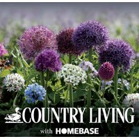 Allium Flowerbulb Collection
Allium Flowerbulb Collection