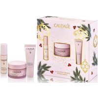 Набор для ухода за лицом Caudalie Resveratrol Lift Firming Solution Christmas Set
Набор для ухода за лицом Caudalie Resveratrol Lift Firming Solution Christmas Set
