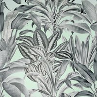 Arthouse Greenhouse Plants Mint Wallpaper A4 Sample
Arthouse Greenhouse Plants Mint Wallpaper A4 Sample