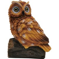 Lifelike Tawny Owl Garden Ornament
Lifelike Tawny Owl Garden Ornament