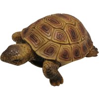 Lifelike Tortoise Garden Ornament
Lifelike Tortoise Garden Ornament