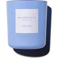 Bloomeffects Tulipa Candle 12.3 oz
Bloomeffects Tulipa Candle 12.3 oz