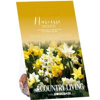 Country Living Mixed Narcissi Bulbs
Country Living Mixed Narcissi Bulbs