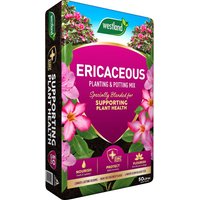 Westland Ericaceous Planting & Potting Mix - 50L
Westland Ericaceous Planting & Potting Mix - 50L