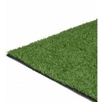 Utility Artificial Grass Mat 3mx1m
Utility Artificial Grass Mat 3mx1m
